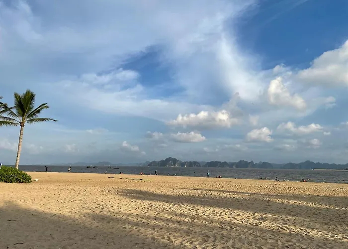 Ocean Dragon Khách sạn Hạ Long